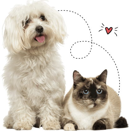 Austin Humane Society Dog and Cat